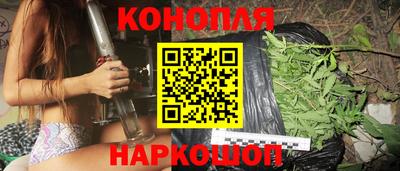 крисы Свободный