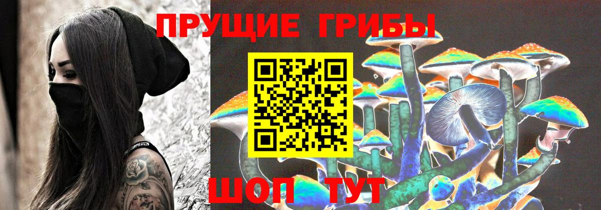 Ржев  Галлюциногенные грибы Psilocybine cubensis  Псилоцибиновые грибы GOLDEN TEACHER  Вход с VPN 